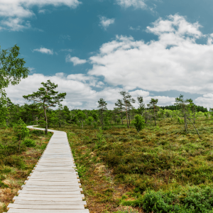 Rhön1